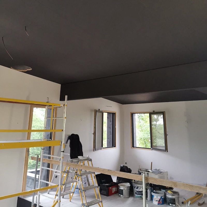 Plafond noir moderne pour un intérieur contemporain et design
